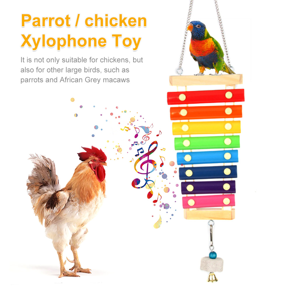 Bird Chicken Xylophone Toy Woo - đánh giá và giá Musical Instrument Harmonium