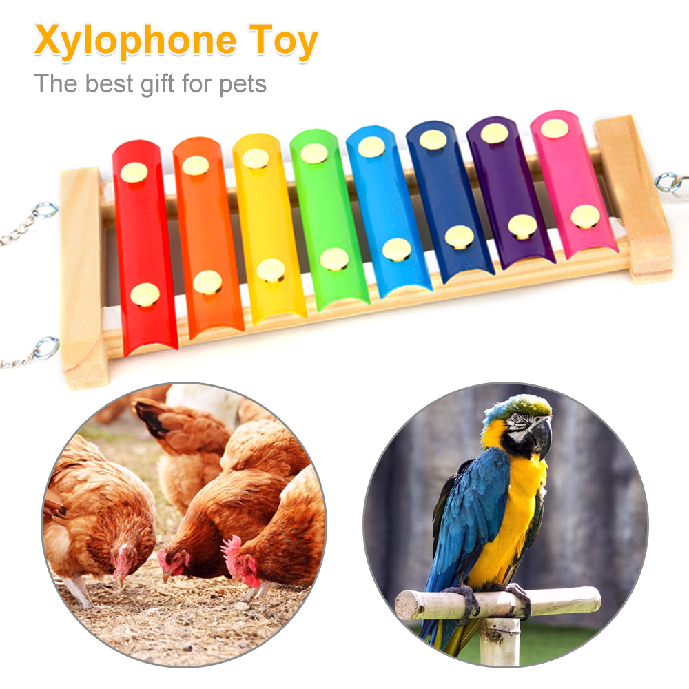 Bird Chicken Xylophone Toy Woo - đánh giá và giá Musical Instrument Harmonium